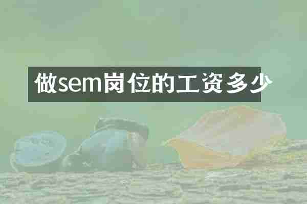 做sem岗位的工资多少