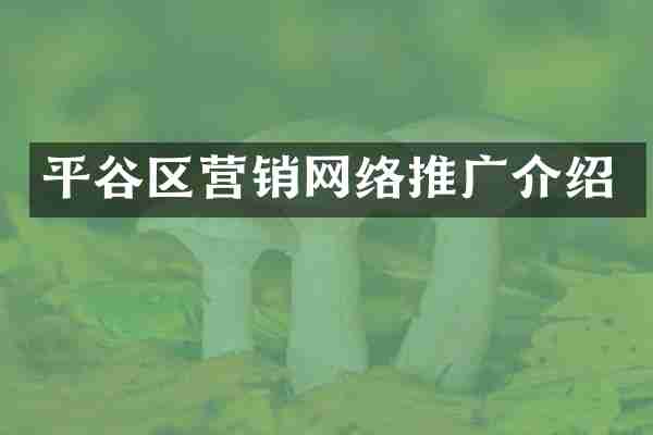 平谷区营销网络推广介绍