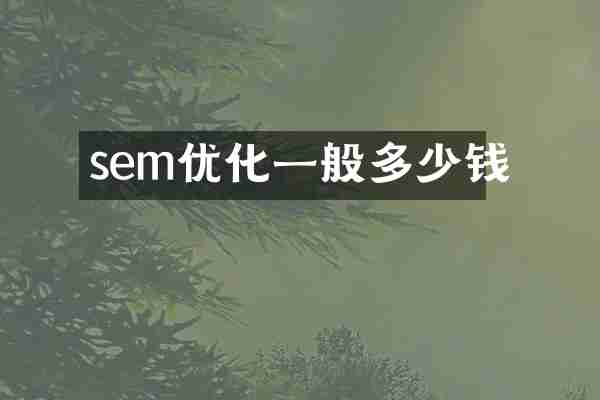 sem优化一般多少钱