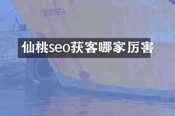 仙桃seo获客哪家厉害