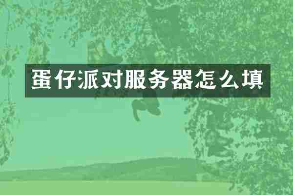 蛋仔派对服务器怎么填