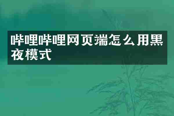 哔哩哔哩网页端怎么用黑夜模式