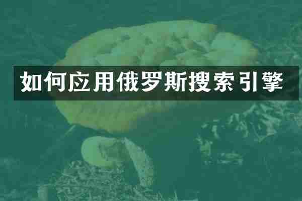 如何应用俄罗斯搜索引擎