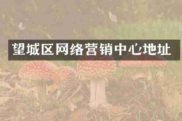 望城区网络营销中心地址