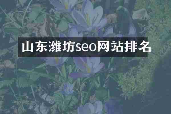 山东潍坊seo网站排名