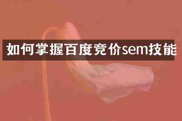如何掌握百度竞价sem技能