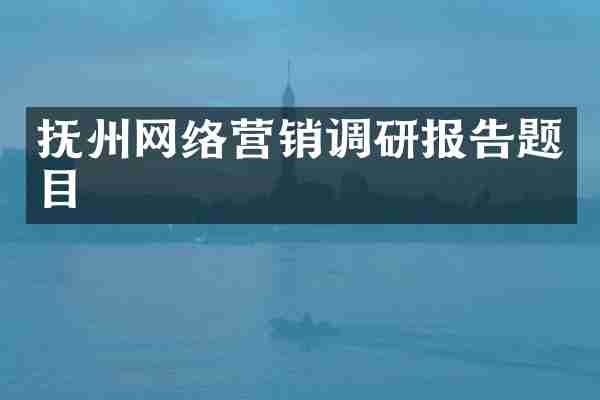 抚州网络营销调研报告题目
