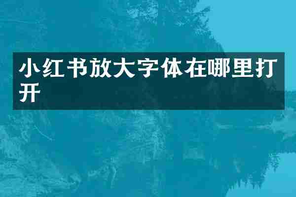 小红书放大字体在哪里打开