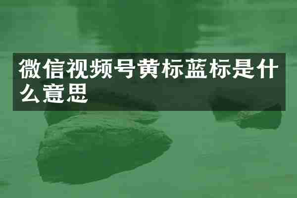 微信视频号黄标蓝标是什么意思