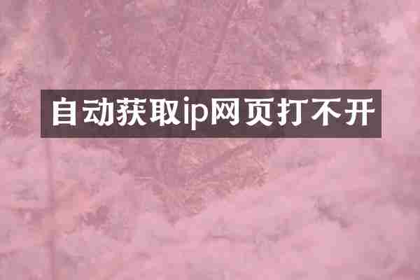自动获取ip网页打不开