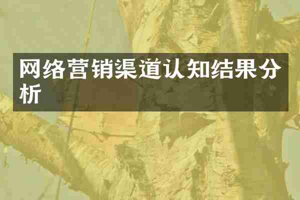 网络营销渠道认知结果分析