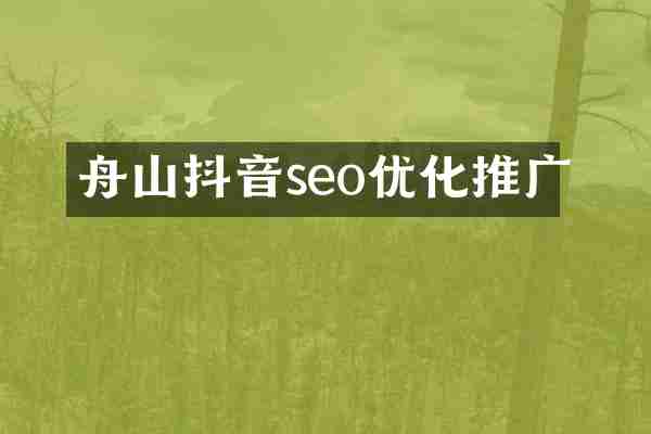 舟山抖音seo优化推广