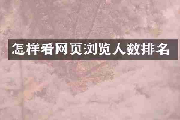 怎样看网页浏览人数排名