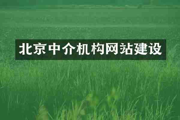 北京中介机构网站建设