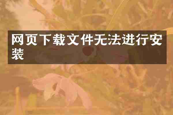 网页下载文件无法进行安装