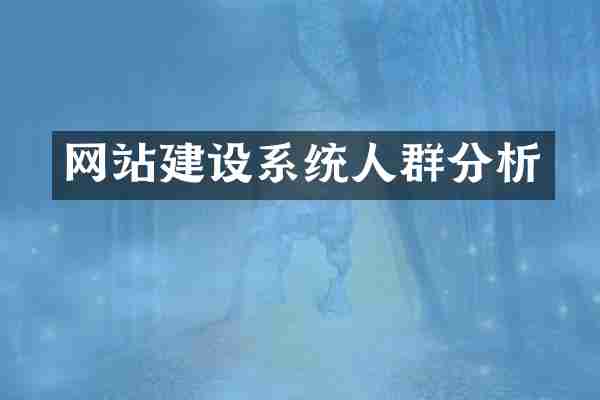 网站建设系统人群分析