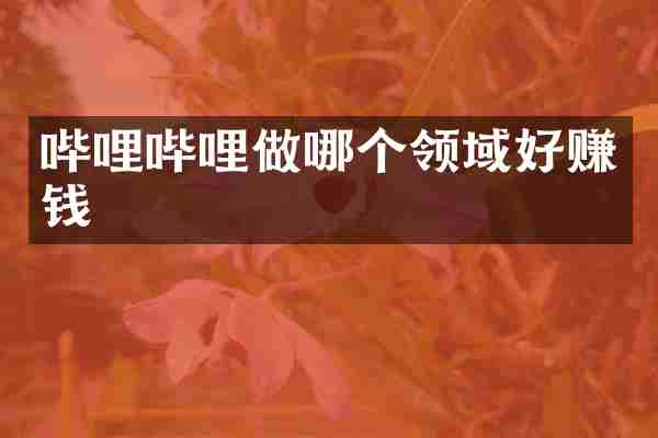 哔哩哔哩做哪个领域好赚钱