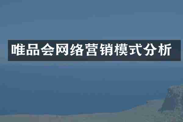 唯品会网络营销模式分析
