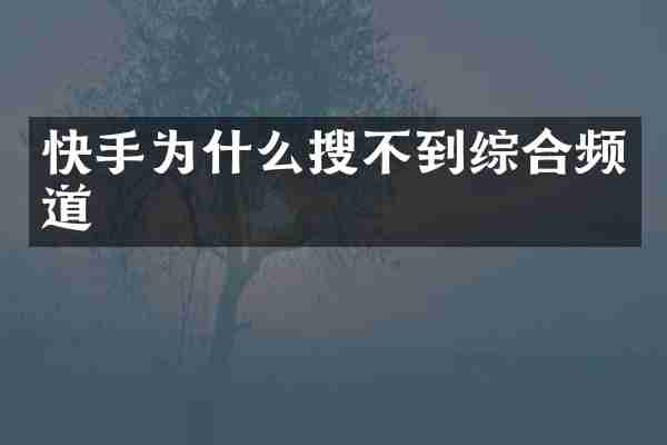 快手为什么搜不到综合频道