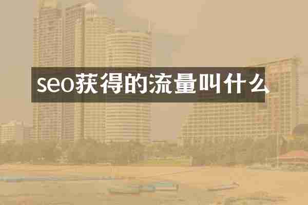 seo获得的流量叫什么