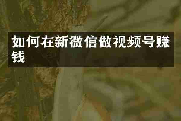 如何在新微信做视频号赚钱
