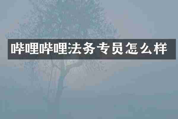哔哩哔哩法务专员怎么样