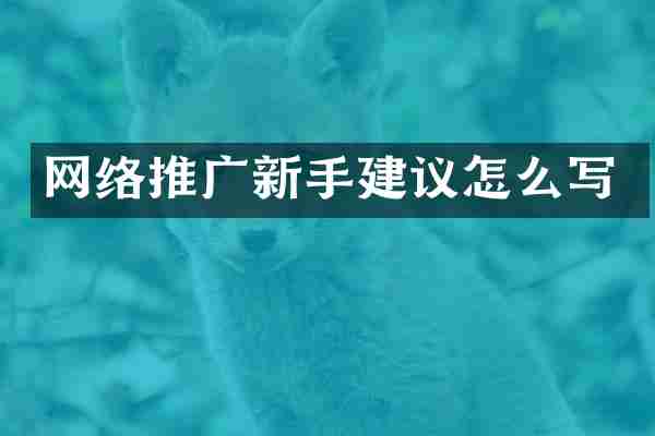 网络推广新手建议怎么写