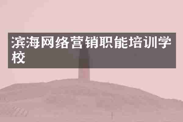 滨海网络营销职能培训学校