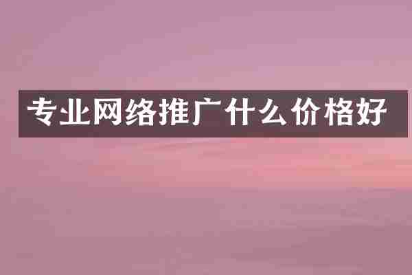 专业网络推广什么价格好