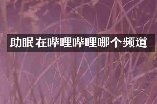 助眠在哔哩哔哩哪个频道