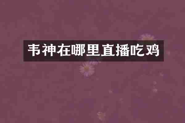 韦神在哪里直播吃鸡