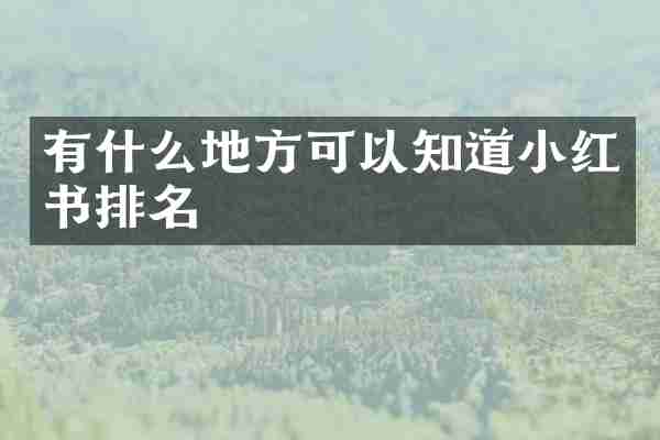 有什么地方可以知道小红书排名