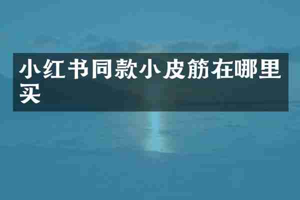 小红书同款小皮筋在哪里买