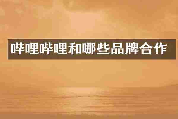 哔哩哔哩和哪些品牌合作