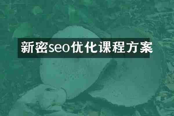 新密seo优化课程方案