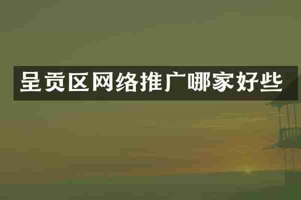 呈贡区网络推广哪家好些