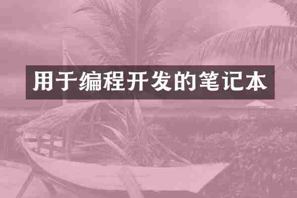 用于编程开发的笔记本