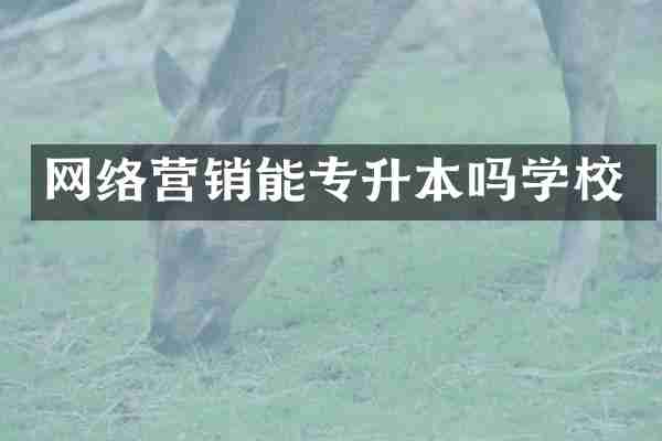 网络营销能专升本吗学校