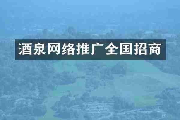 酒泉网络推广全国招商