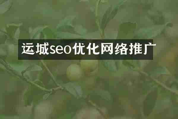 运城seo优化网络推广
