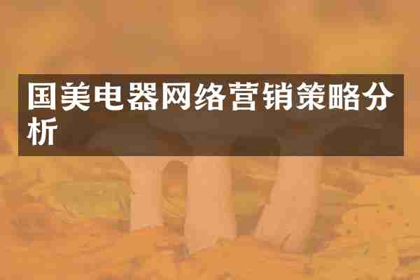 国美电器网络营销策略分析