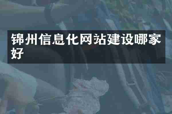 锦州信息化网站建设哪家好