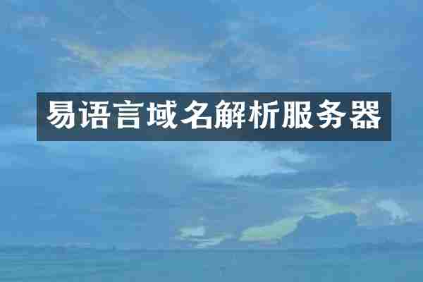 易语言域名解析服务器