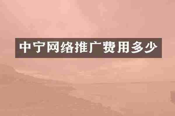 中宁网络推广费用多少