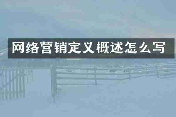 网络营销定义概述怎么写