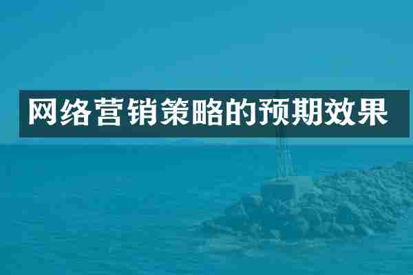 网络营销策略的预期效果