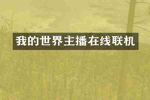 我的世界主播在线联机