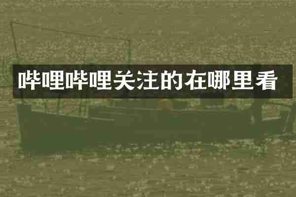 哔哩哔哩关注的在哪里看