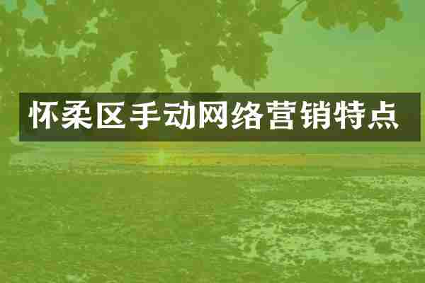 怀柔区手动网络营销特点