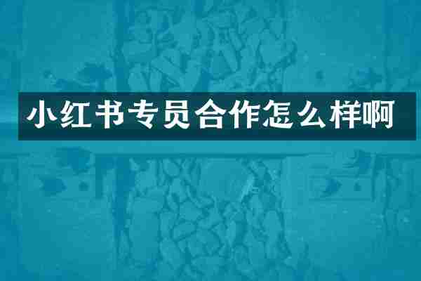 小红书专员合作怎么样啊